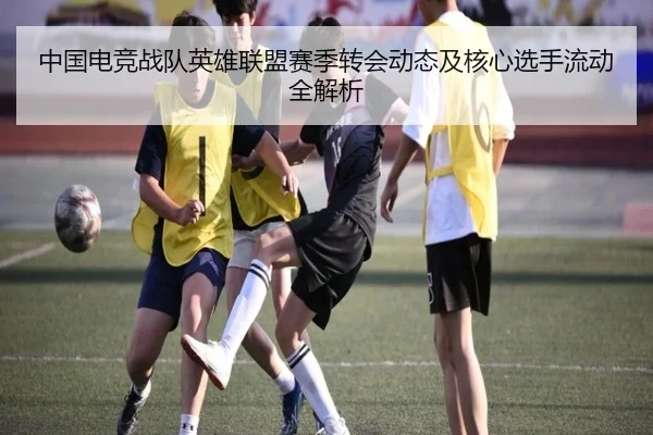 img_1791873473928_691_1_754.jpg